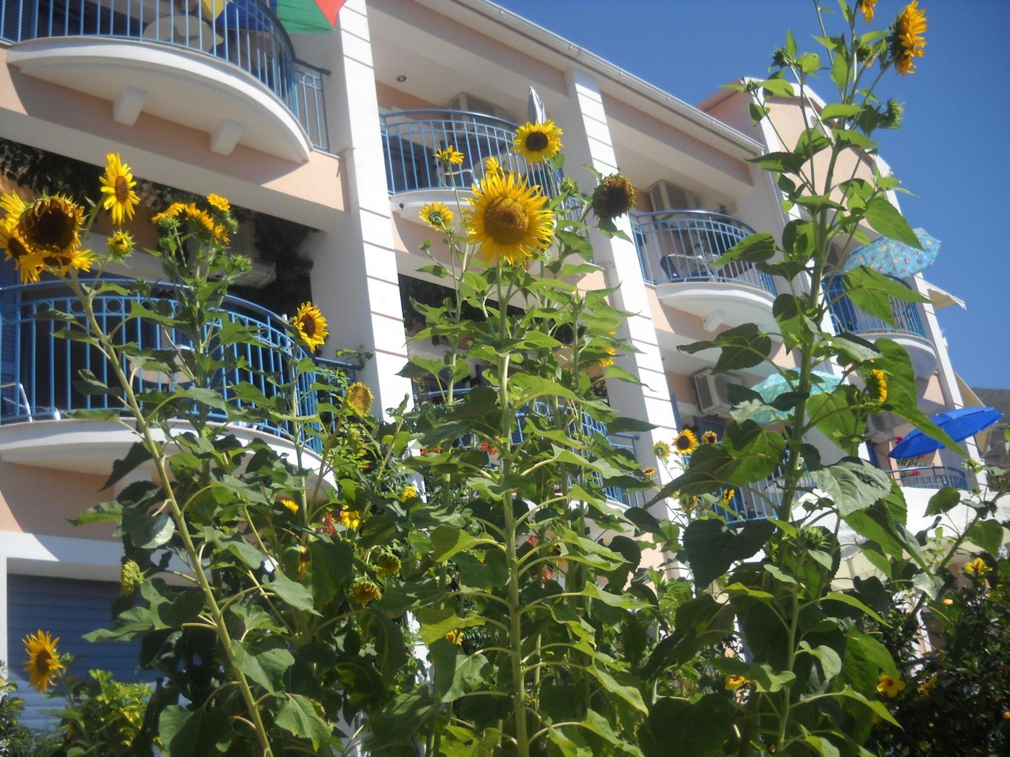 Olive Bay Hotel Agia Efimia Luaran gambar